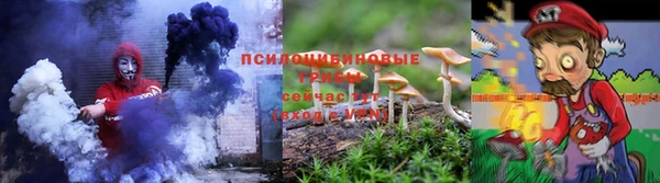 МДПВ Белокуриха