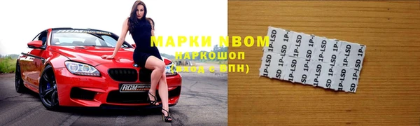 шишки Белоозёрский