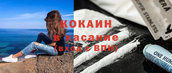 шишки Белоозёрский