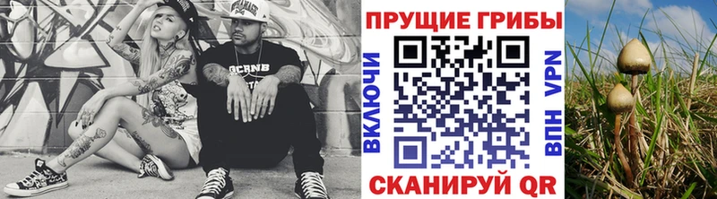 Псилоцибиновые грибы Psilocybe  Новый Уренгой 