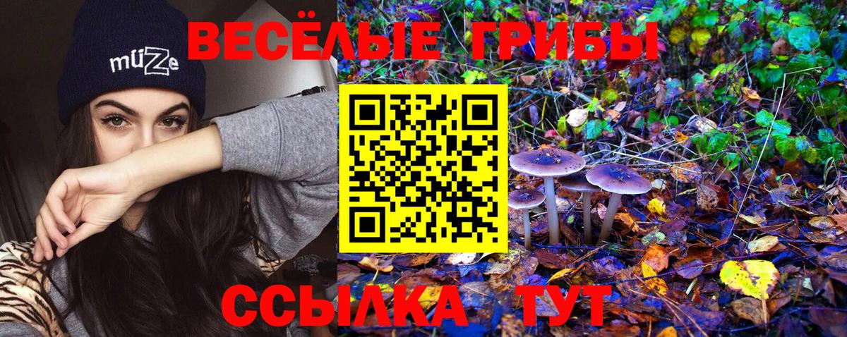 Псилоцибиновые грибы Cubensis Новый Уренгой