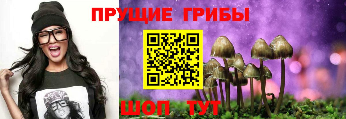 Новый Уренгой  Псилоцибиновые грибы Psilocybe  Вход с VPN  Псилоцибиновые грибы прущие грибы 